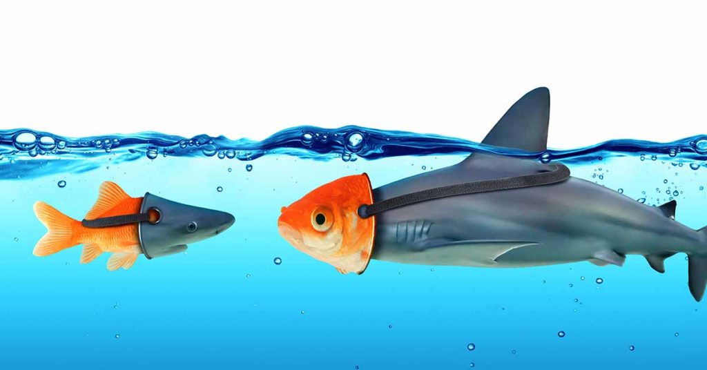 Two organisms - a shark and a fish - engaging in impression management while swimming in the water.