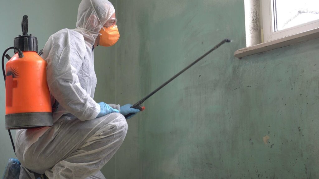 A person in protective gear and an orange face mask sprays a chemical solution onto a moldy wall in what appears to be the back room of a plastic surgery business.